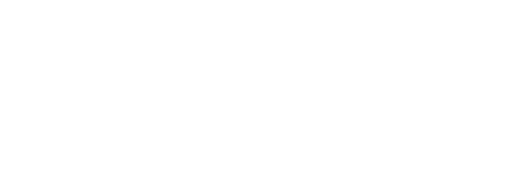 Logo blumenstadl Mering